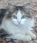 Жанна