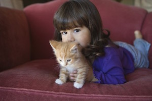 Ребенок и кошка