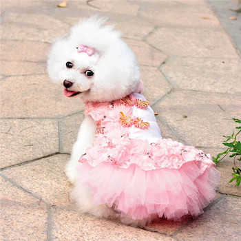 Собака в платье