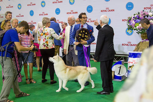 Euro Dog Show 2017