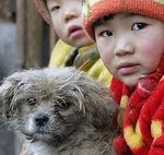 Собаки в Китае