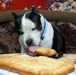Пирог для собаки