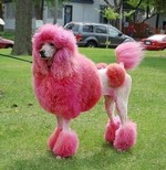 розовая собака