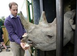 Уильям кормит носорога