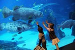аквариум в Анталии