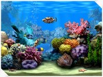 морской аквариум